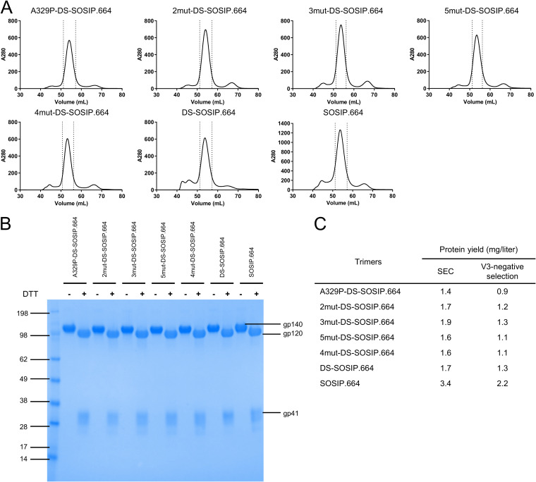 FIG 3