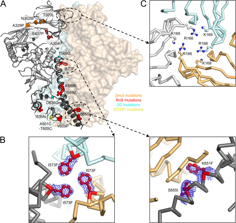 FIG 10