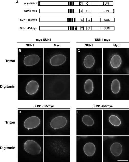 FIG. 7.