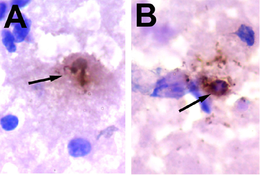 Fig. 3