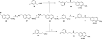 Scheme 6