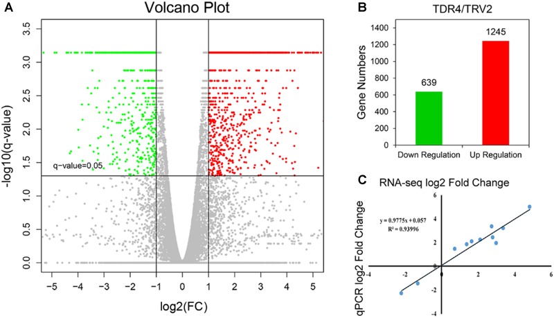 FIGURE 2