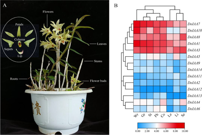 Fig. 3