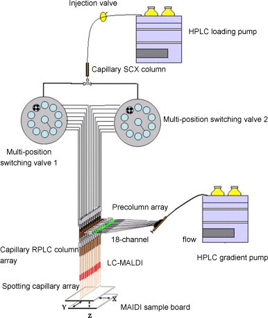 Fig. 6