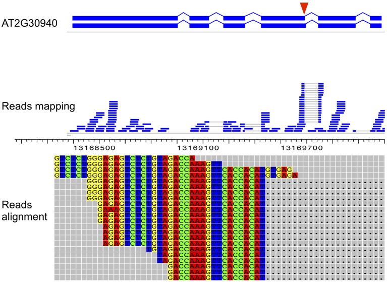 Figure 4