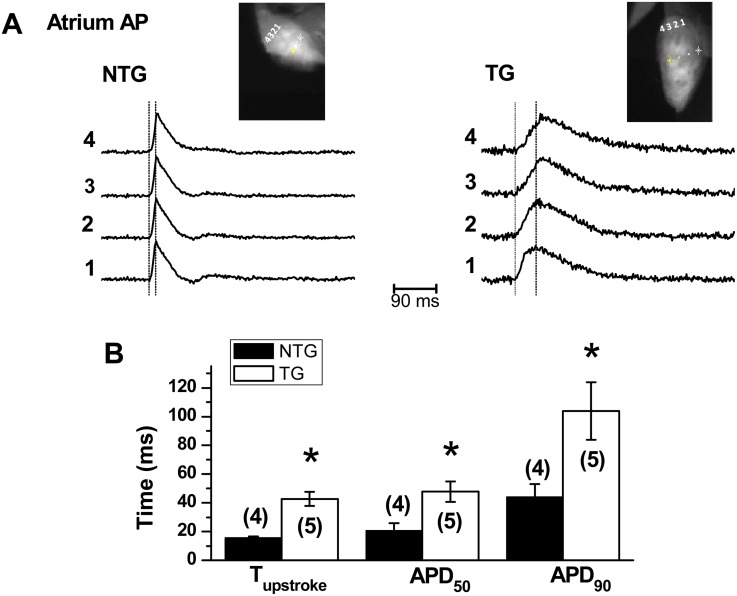 Fig 4