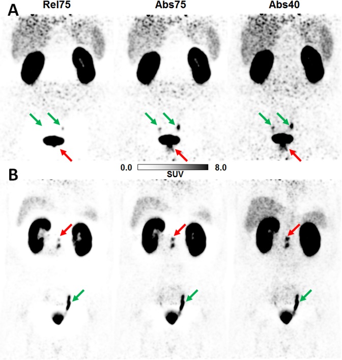 Fig 8