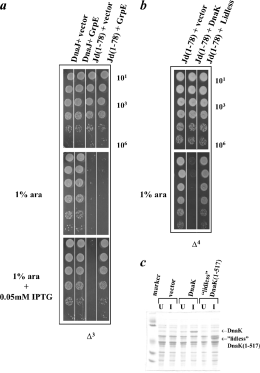 FIGURE 7.