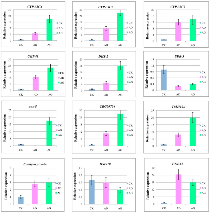 Figure 6