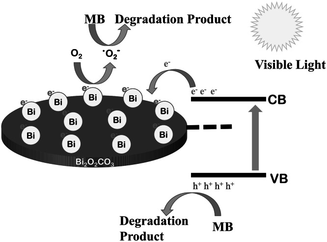 Scheme 1