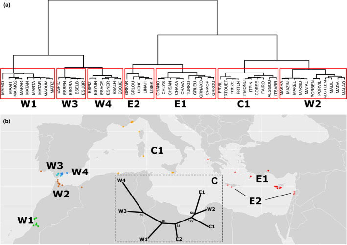 FIGURE 2