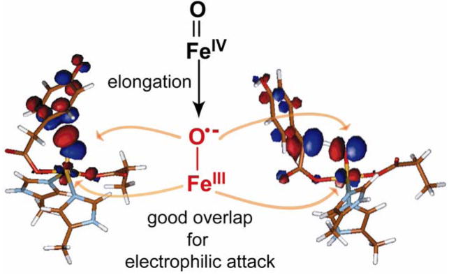 Figure 21