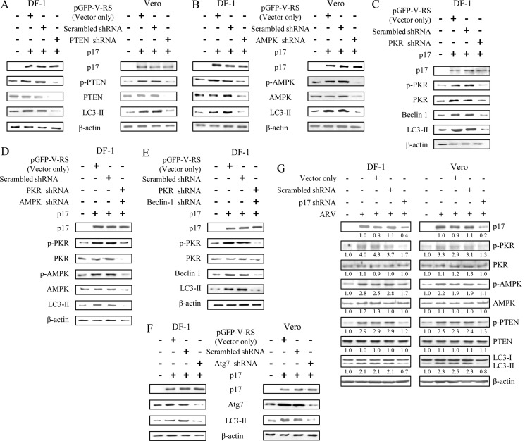 FIGURE 7.