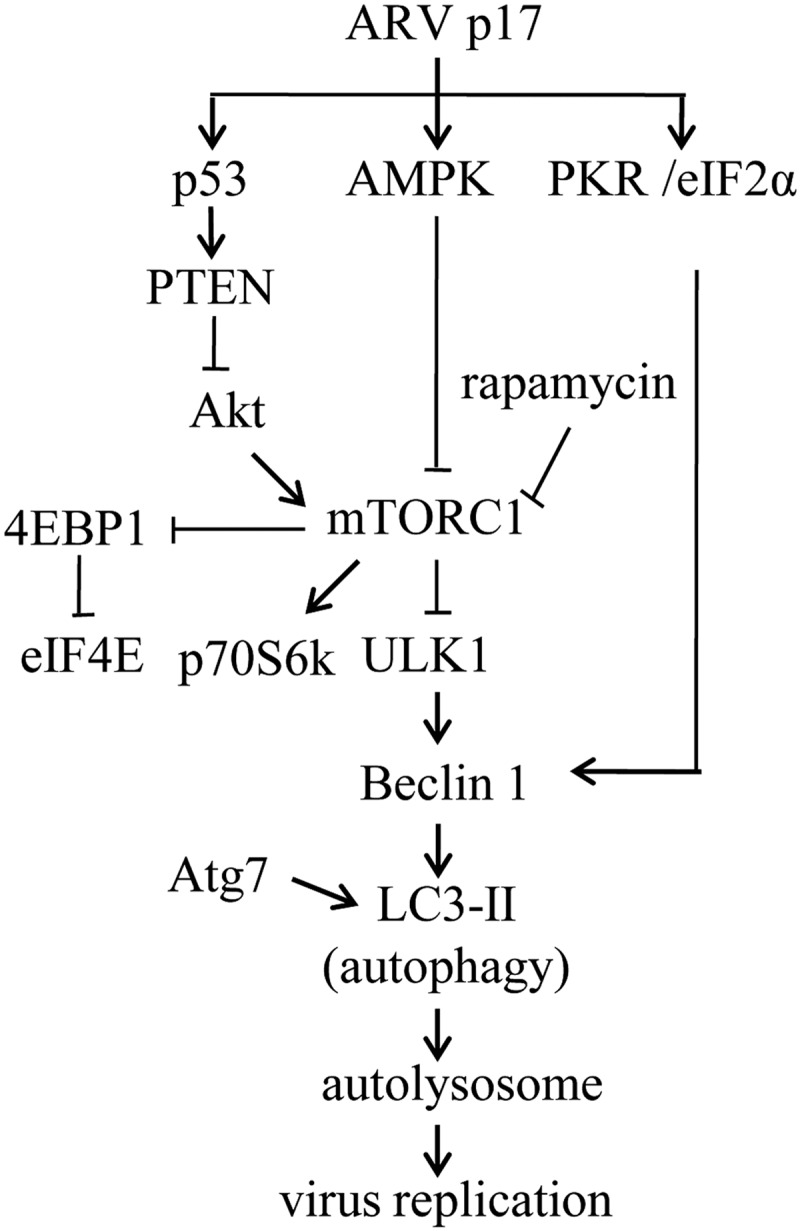 FIGURE 9.