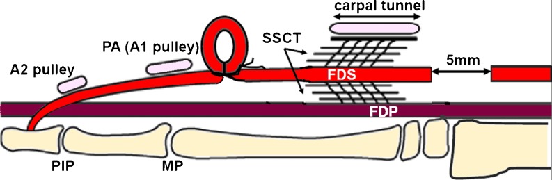 Fig. 3