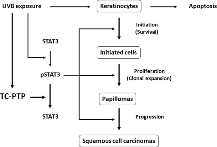 FIGURE 9.