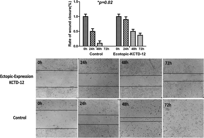 Fig. 6