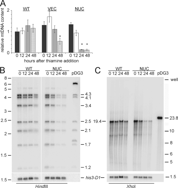 FIG. 5.