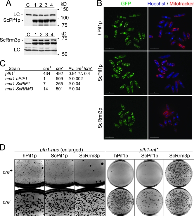 FIG. 6.