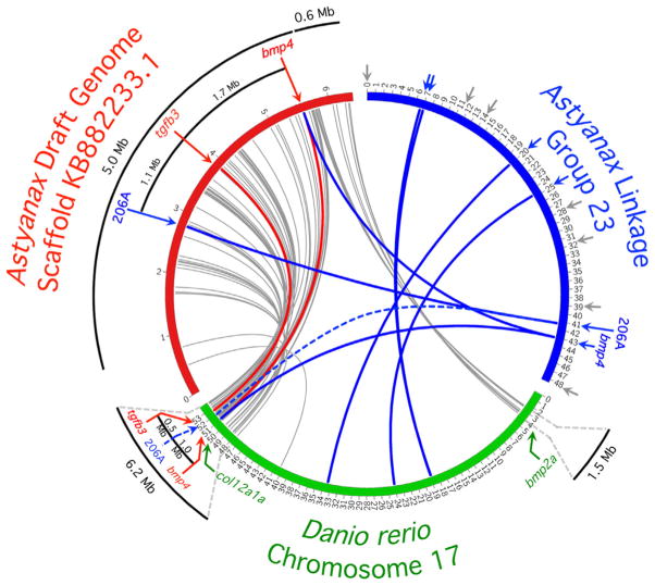 Fig. 2