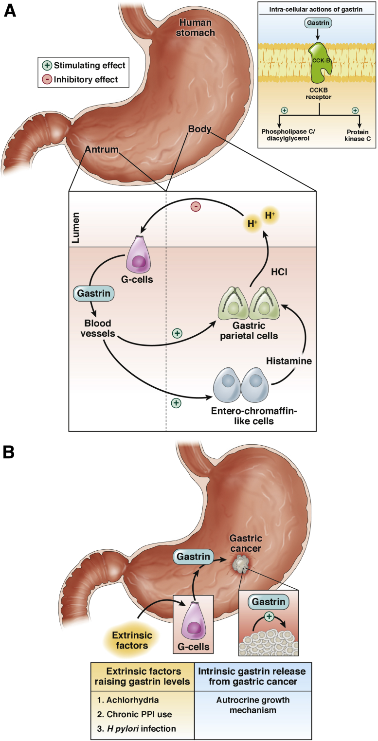 Figure 1