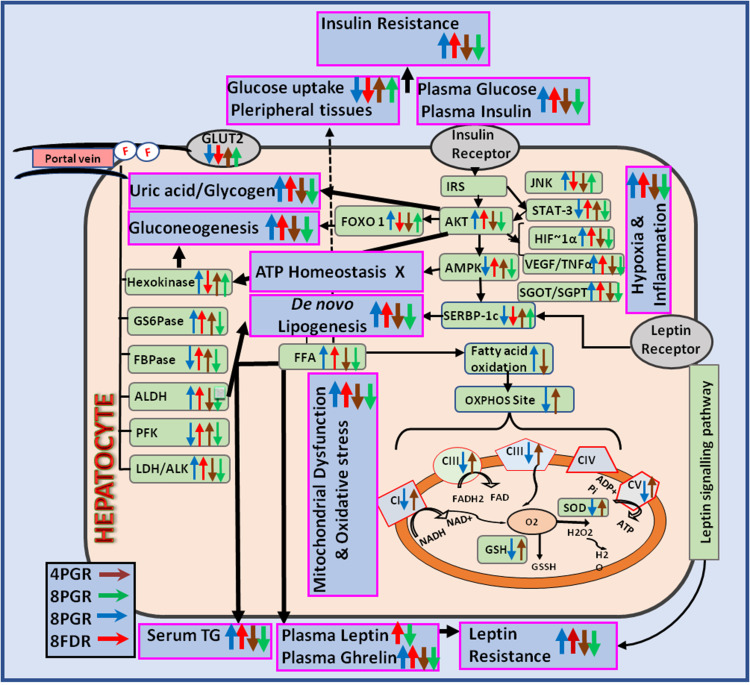 graphic file with name DMSO-15-2827-g0001.jpg