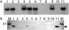 FIG. 5.