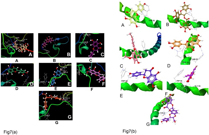 Fig 7