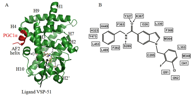 Figure 6