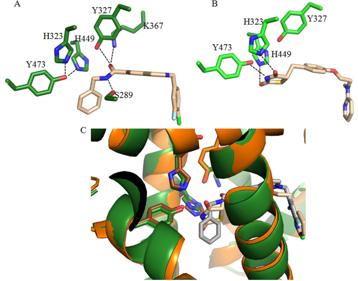 Figure 7