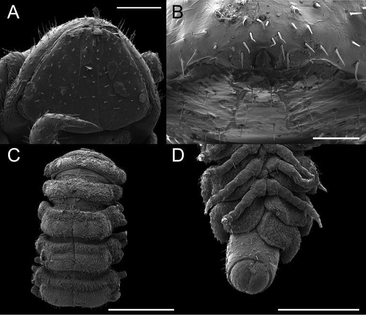 Figure 5.