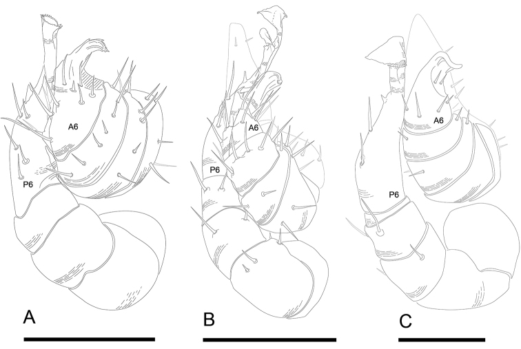 Figure 9.