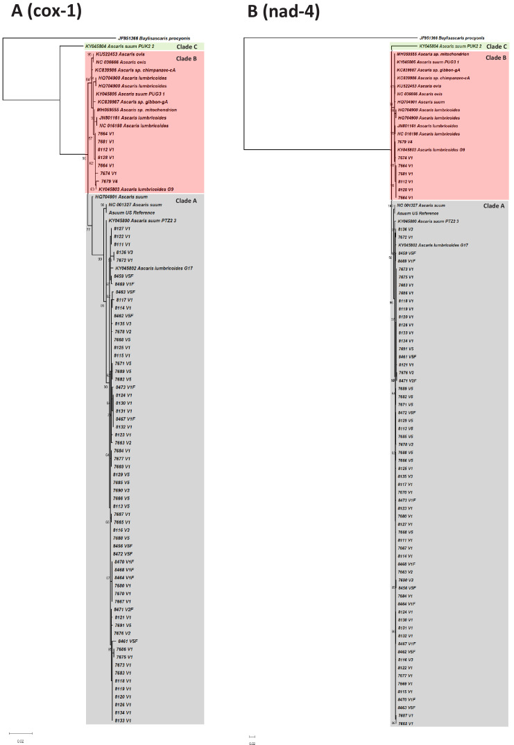 Figure 2—figure supplement 1.