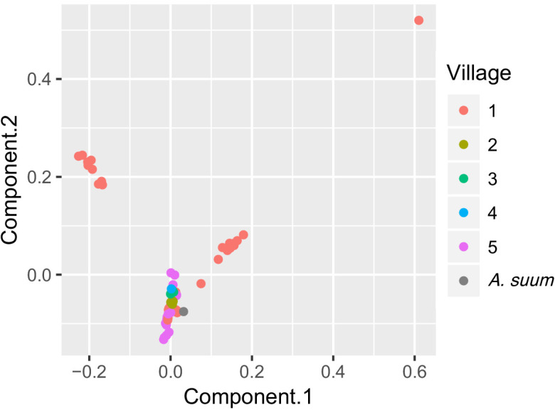 Figure 6.