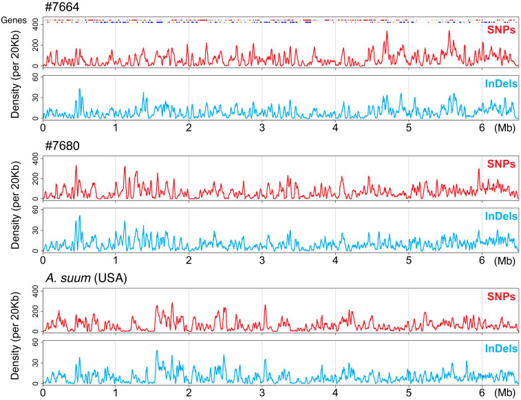 Figure 2—figure supplement 4.