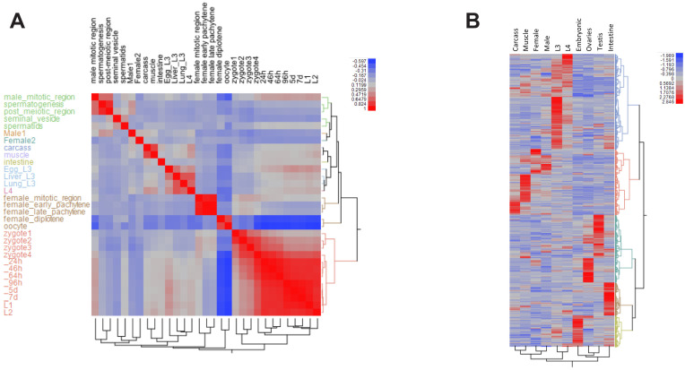 Figure 1—figure supplement 2.