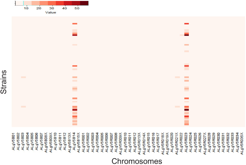 Figure 3—figure supplement 1.