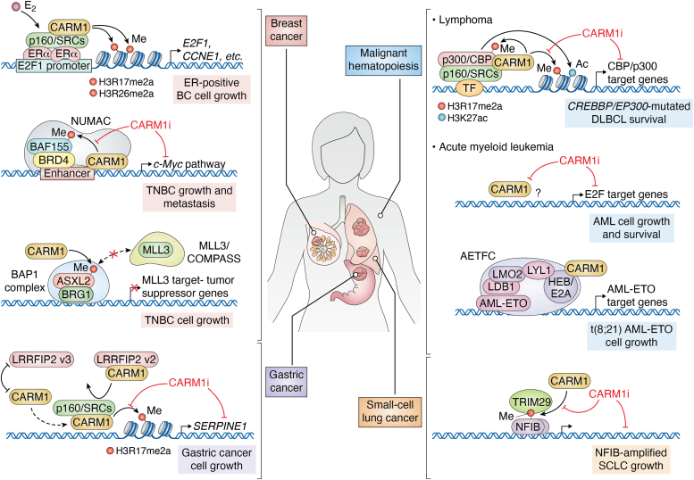 Figure 2