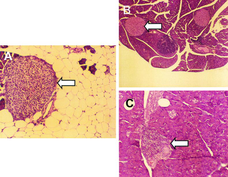 FIG. 5.