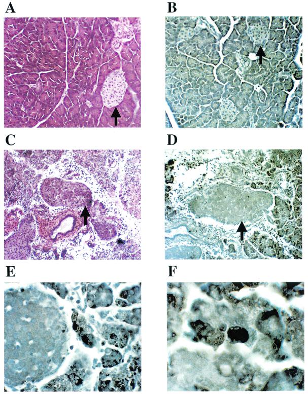 FIG. 8.