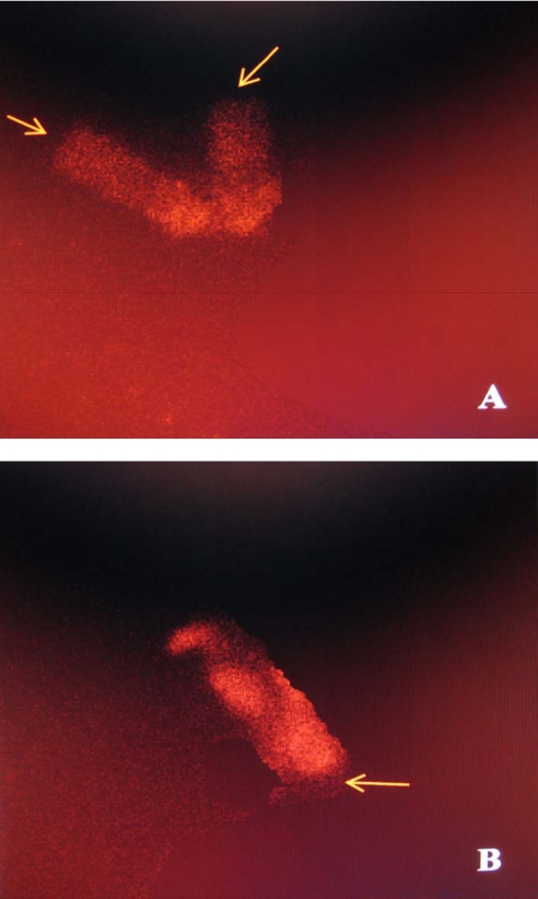 FIGURE 12.