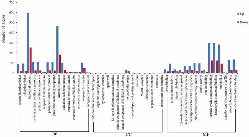 Figure 5.