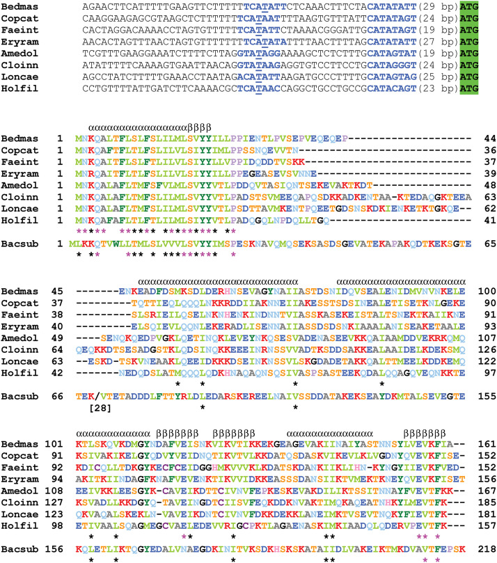 FIG 6