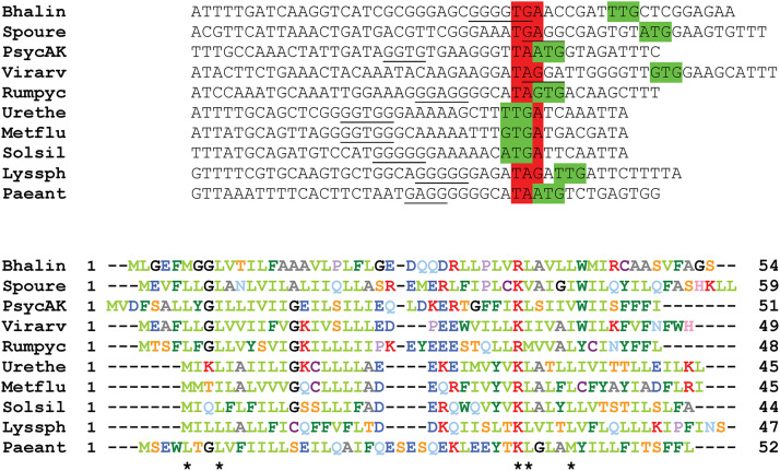 FIG 3