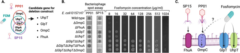 Fig 5