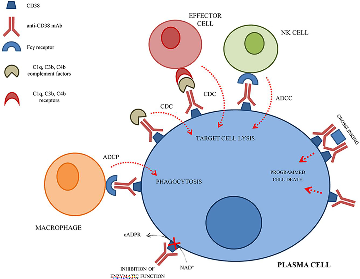 Figure 6.