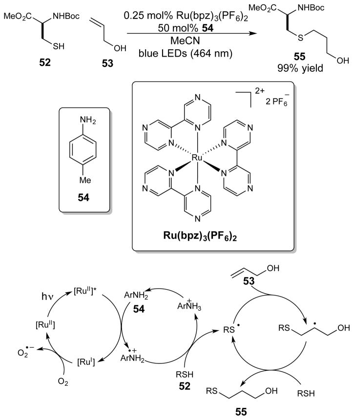 Scheme 13