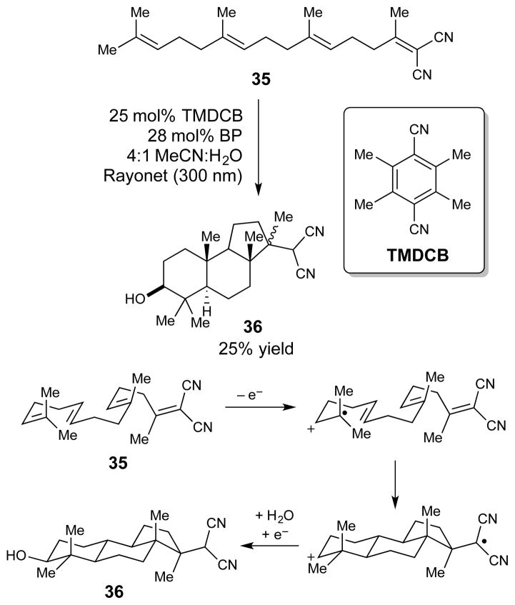 Scheme 8