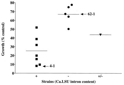 FIG. 6