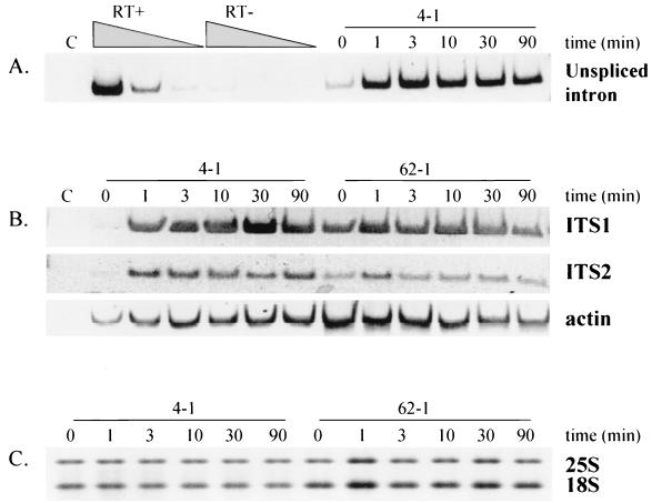 FIG. 5